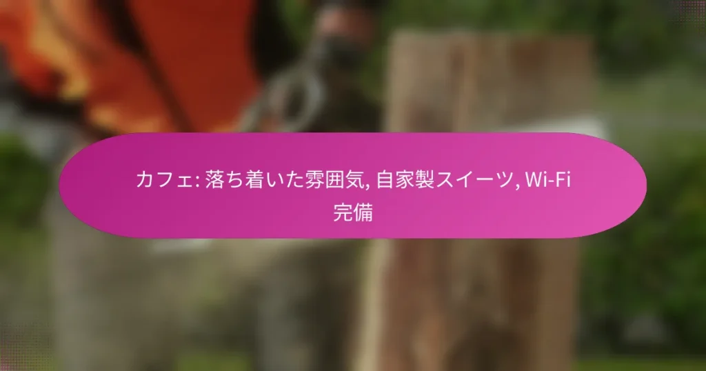 カフェ: 落ち着いた雰囲気, 自家製スイーツ, Wi-Fi完備