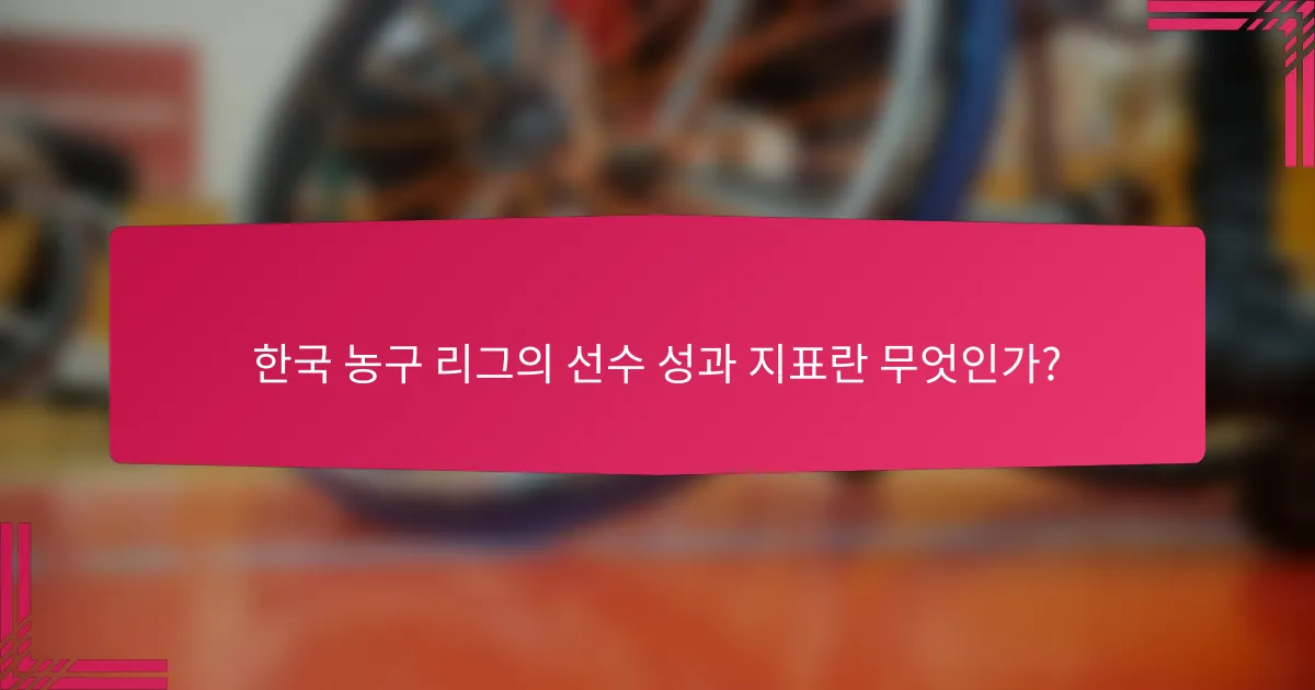 한국 농구 리그의 선수 성과 지표란 무엇인가?