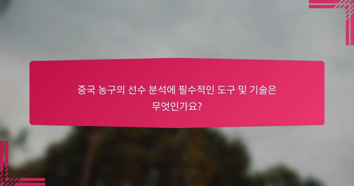 중국 농구의 선수 분석에 필수적인 도구 및 기술은 무엇인가요?
